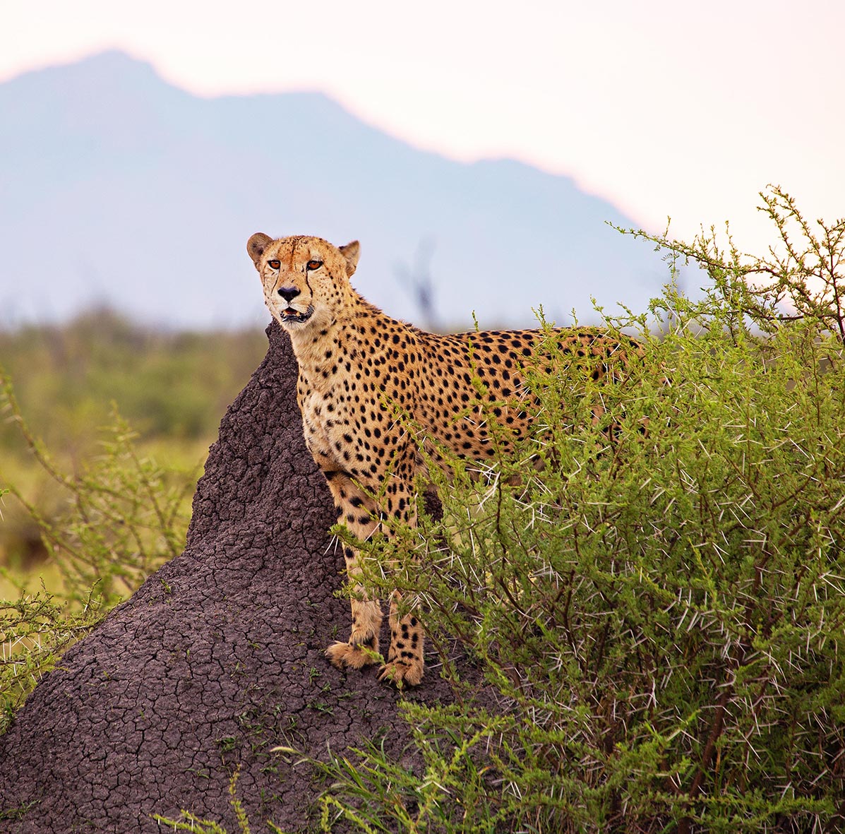 South Africa Eco Tourism Destinations